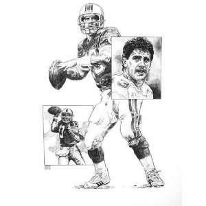 Dan Marino Miami Dolphins 16x20 Lithograph:  Sports 