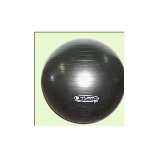  FitBALL Sport Soft Exercise Ball Package   75cm: Sports 