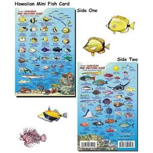  Mini Hawaiian Reef Creatures Fish ID