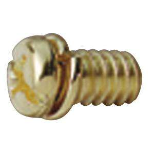 Westinghouse Ceiling Fan Motor Screws (10 Pack) 7704700 at The Home 