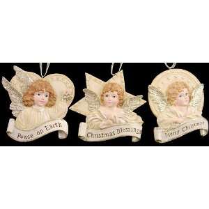 Set of 3 Enchanted Garden Angels with Banners Christmas Ornaments 