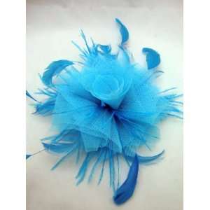    Turquoise Feather Hair Clip and Pin Brooch 
