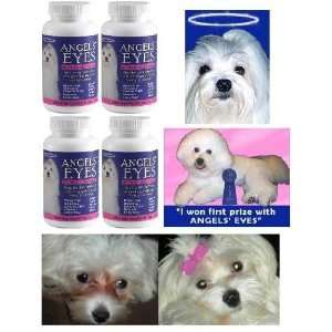  Angels Eyes Dog Tear Stain Remover Beef 960 gram: Pet 