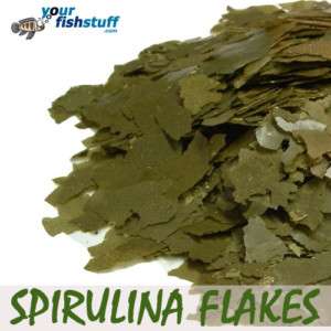 Your Fish Spirulina Flakes Aquarium Fish Food ONE LB  