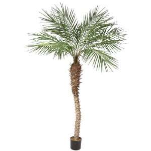    7 Potted Artificial Regal Phoenix Palm Tree: Home & Kitchen