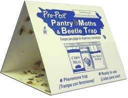Flour Meal Bird Seed Pet Food Pantry Moth & Beetle Trap   2 Ready to 