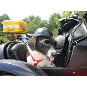  Doggie Bike or Motorcycle Helmet ~ Small Pink: Everything 