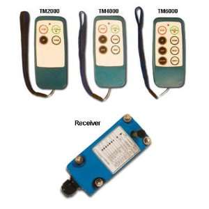  ECONOMY ELECTRICAL CONTROLLERS FOR HOISTS AND CONVEYORS 