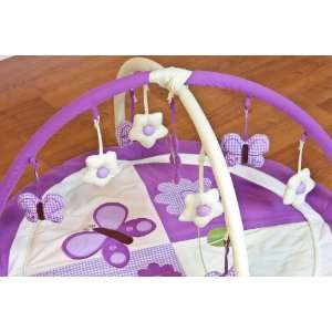  Lavender Butterfly Portable Play gym White Baby