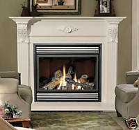 NAPOLEON DIRECT VENT GAS FIREPLACE BGD 36NTR  