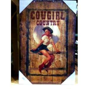 Lodge Cabin Rustic Decor Vintage Cowgirl Fence Wood Plank Picture 