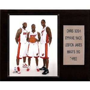  NBA LeBron James  DwyaneWade Chris Bosh Miami Heat Player 