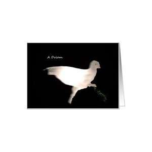  Martin Luther King Day, Dove With Olive Branch Card 