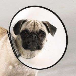 Elizabethan Big Dog Wound pet Healing Cone padded E Collar w/ snaps XL 