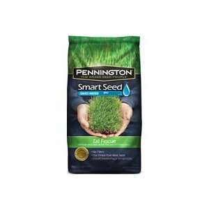   : Smart Seed Tall Fescue Blend Grass Seed, 20lb: Patio, Lawn & Garden