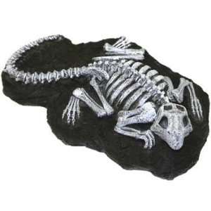   Top Quality Resin Ornament   Fossil Finds   Gila Monster