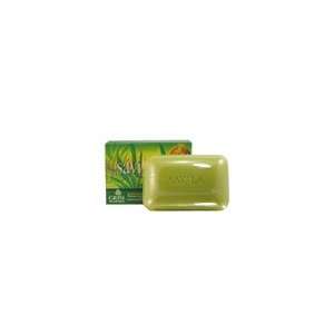  Aloe Vera Soap   Jabon de Savila   Grisi Beauty