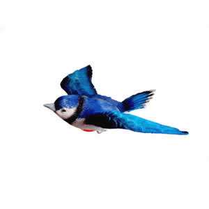 FLY THRU WINDOW MAGNET Blue Jay fly through bird magnet  