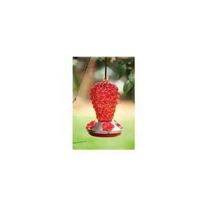   : Evergreen Enterprises HummingBird Feeder Red Glass: Home & Kitchen