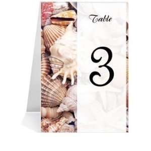   Number Cards   Love Sea Shells & Stars #1 Thru #29
