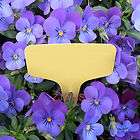   x2.36 Plastic Plant T type Tags Markers Blank Nursery Garden Labels