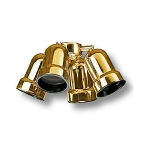   4RP3 PB 4 Light Fan Light Kit, Polished Brass Black: Home Improvement