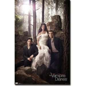  The Vampire Diaries Group TV Poster Print   22x34 Poster 